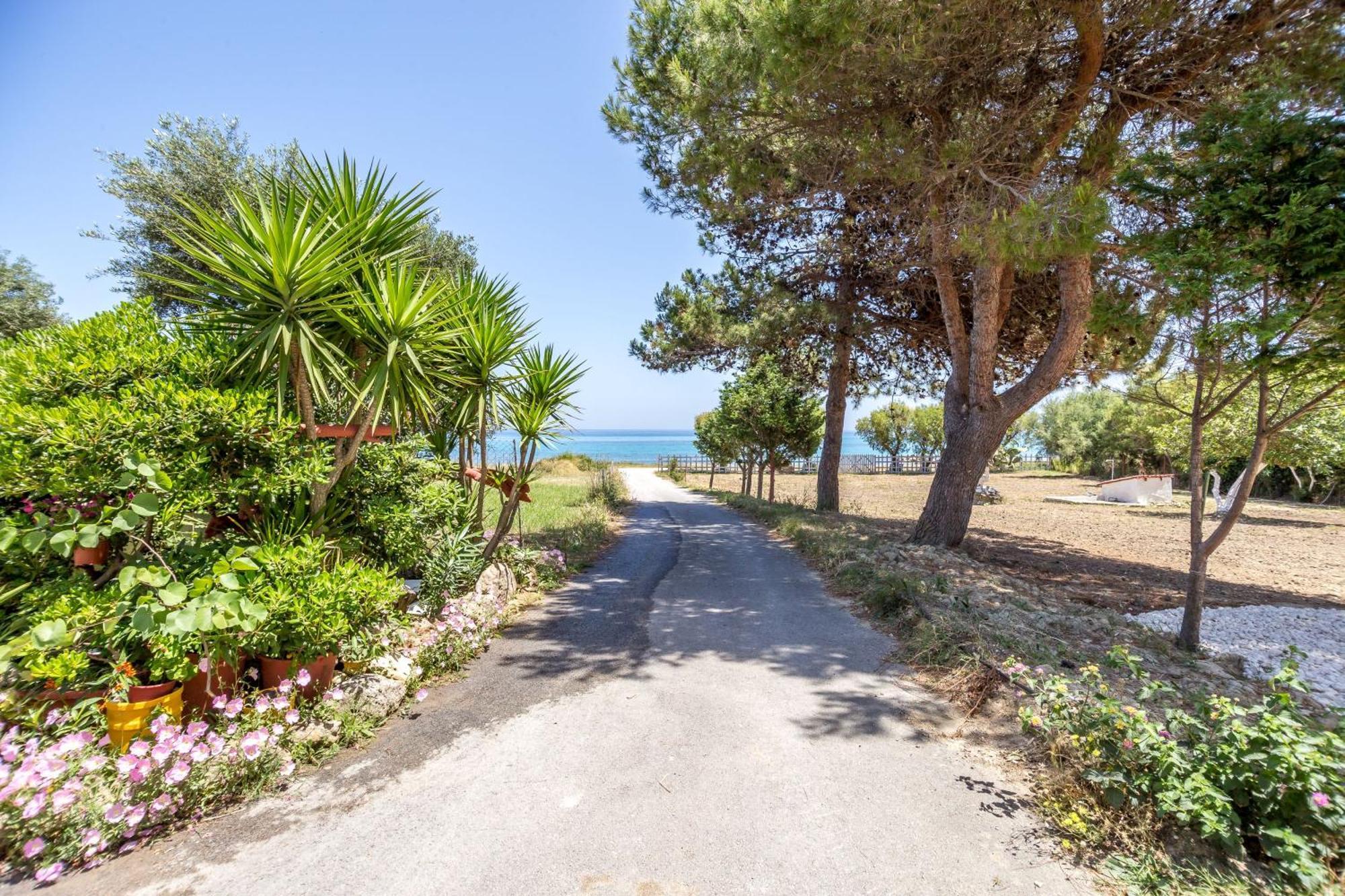 Casa Di Mare - Studios And Apartments On The Beach Василікос Екстер'єр фото